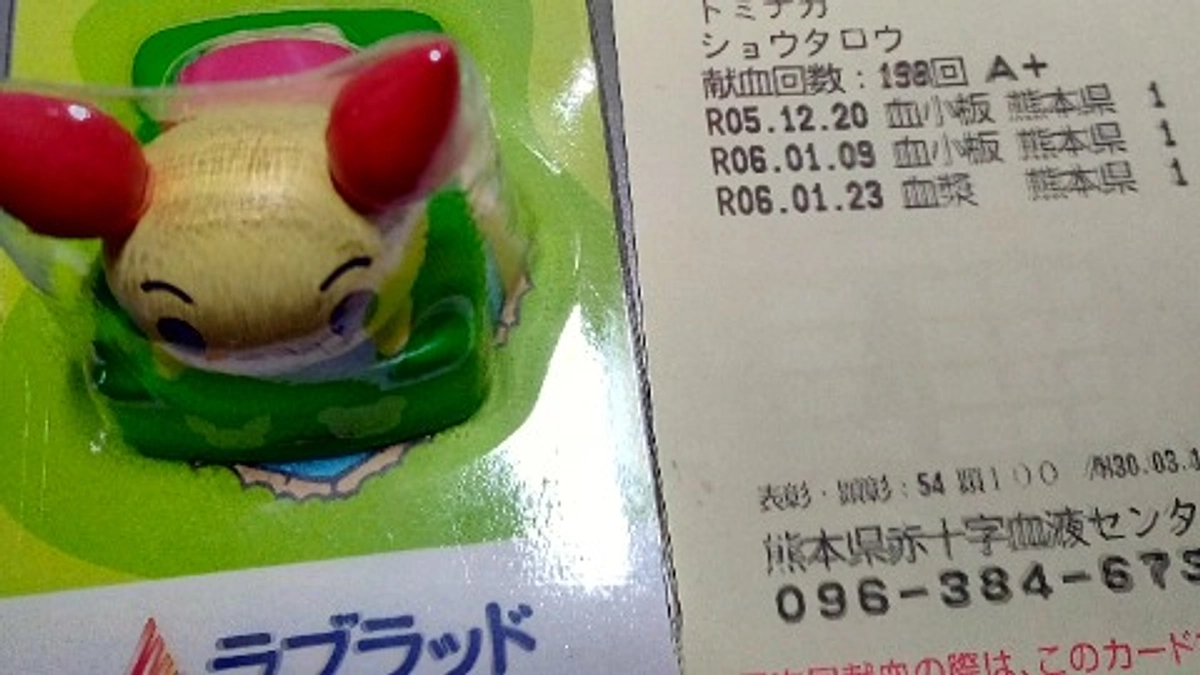 とうとうやってきました