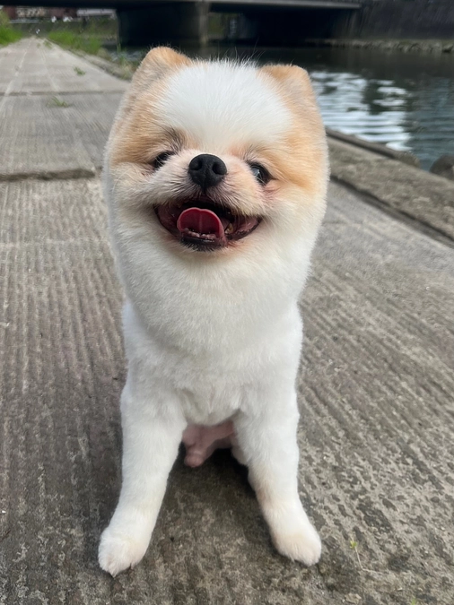 プロジェクト達成