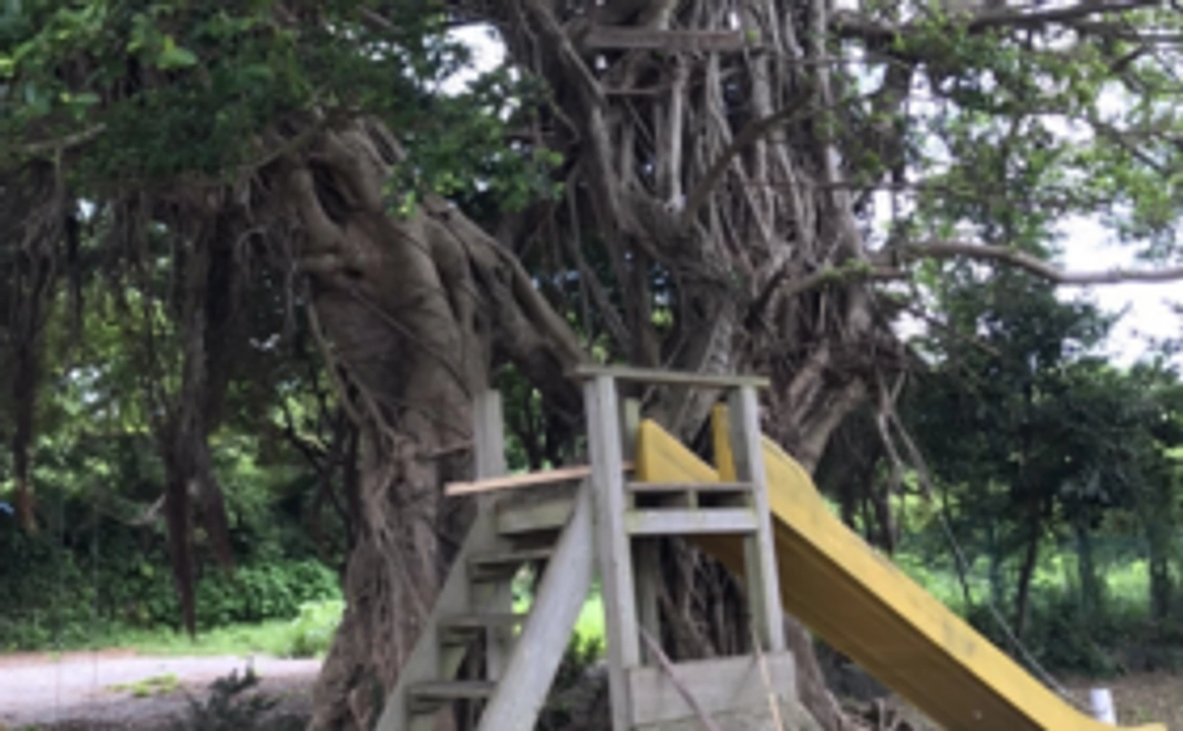 口永良部島の魅力を体感！報告会招待券＆モノづくり体験ワークショップ