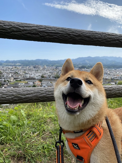 早速応援メッセージが届きました！