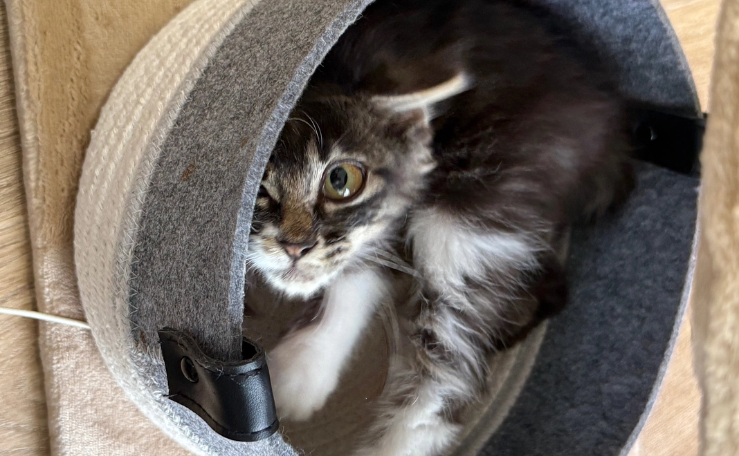 ジジ応援プラン⑩