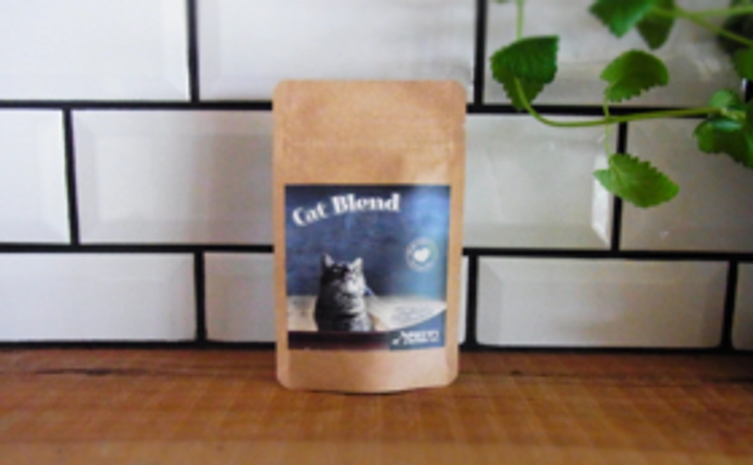 【全額応援コース1万円】ありがとうのメールをお届け