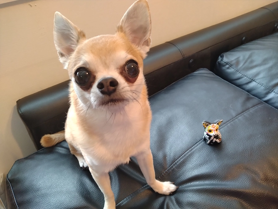 5/4　残り１週間！