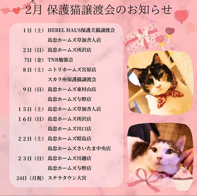 ２月は合計１５回の保護猫譲渡会を開催いたします。