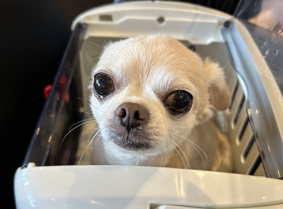 本日３か月検診に行ってきました。