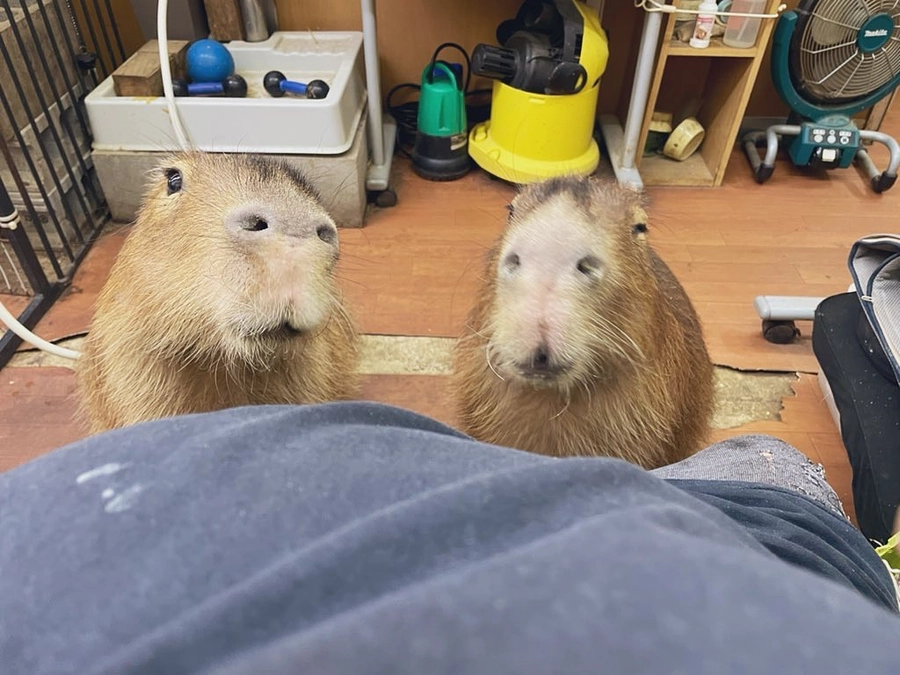 Our crowdfunding will close only 4 days left