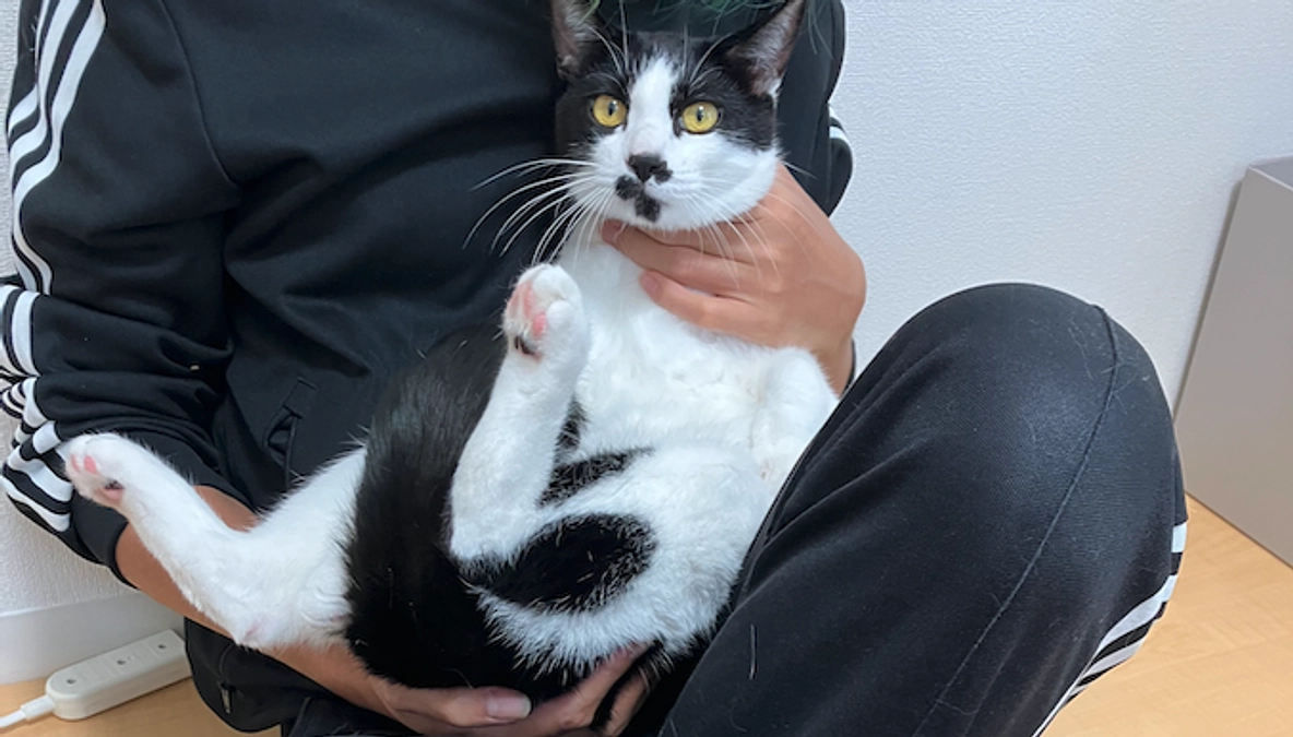 2025年5月11日(土)シドちゃん　FIP治療活動報告