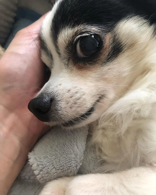 まだ下痢をしています