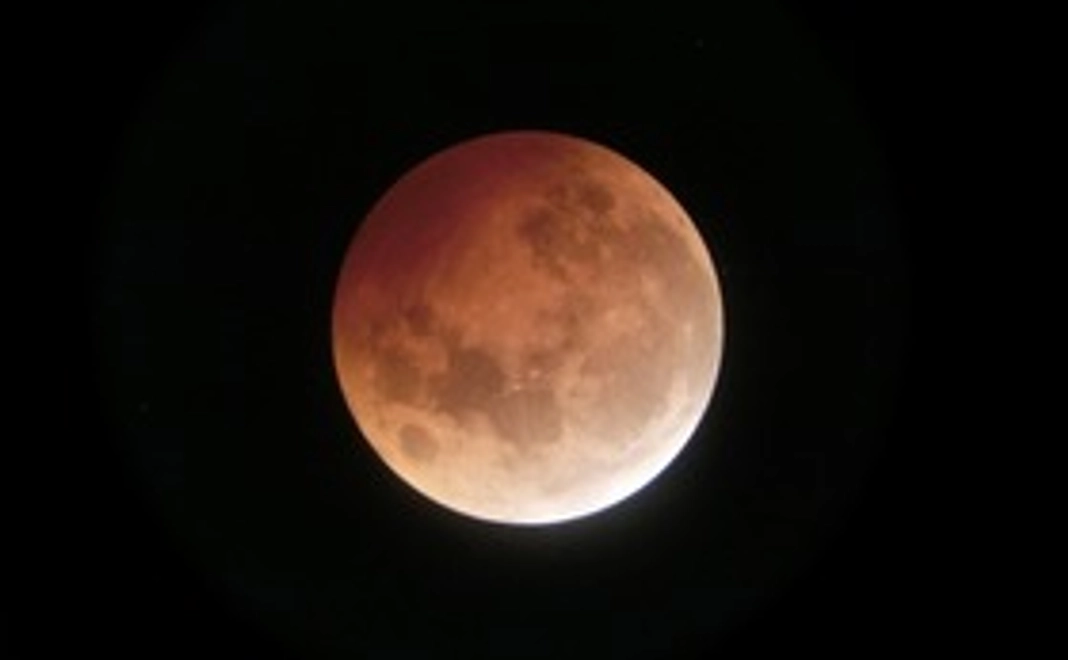 撮影写真の一部を提供