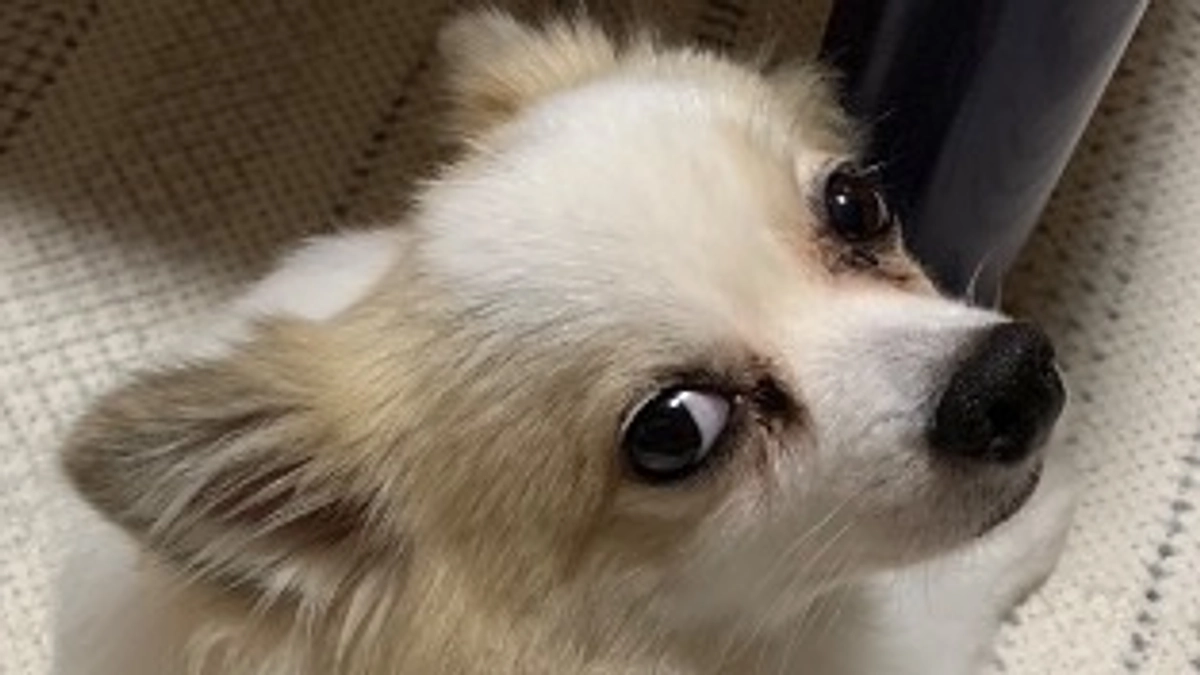 タイラー入院４日目(変化)