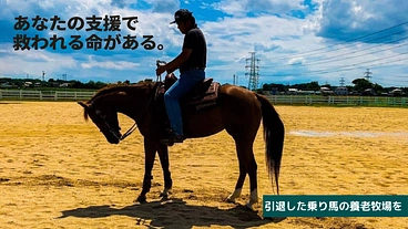Last Life～茨城県境町で引退乗馬のセカンドライフを支援～ のトップ画像