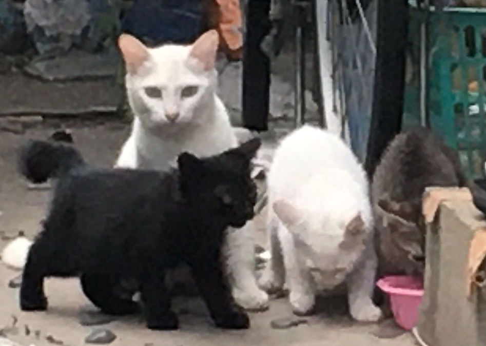 新たな場所より2023/06/1～６/30のご報告。