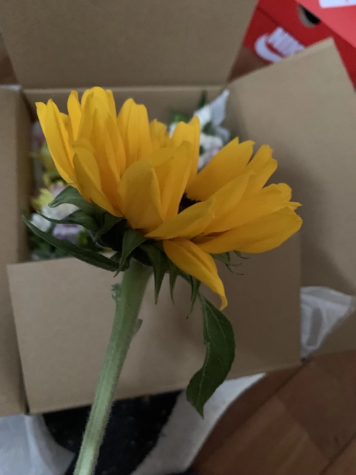 小さ命を見送りました