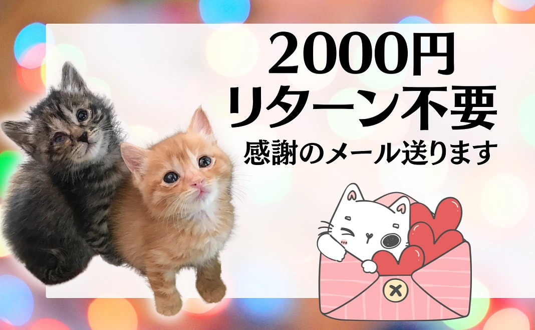 2000円応援！感謝のメール送ります！