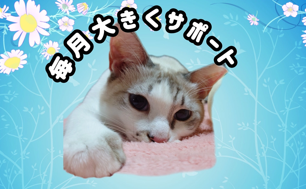 毎月大きくサポート