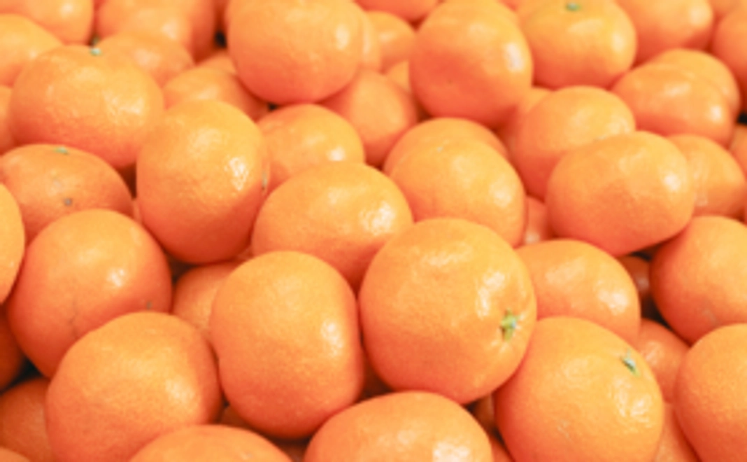 【有田川鉄道公園に来園できない方向け】オリジナルグッズ&特選有田みかん①