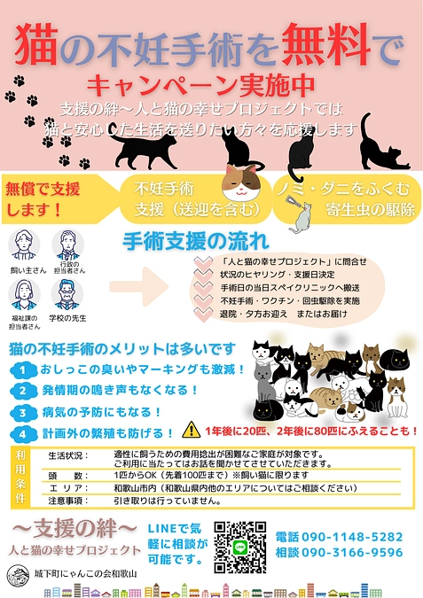 かわいそうだけでは助けられない野良猫さんのこと⑯