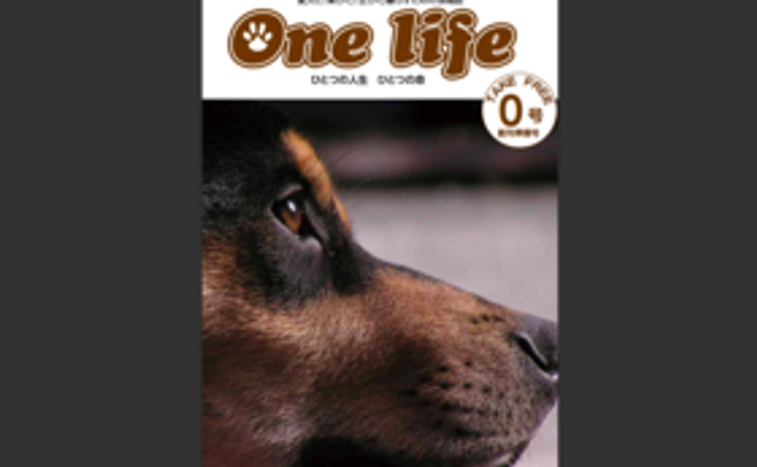 ありがとうございます！すべて作製費にします！