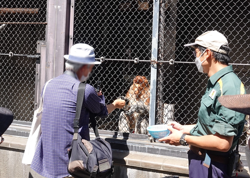 【実施しました】給餌体験付き バックヤードツアー