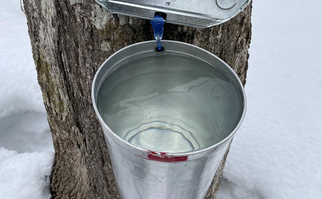 《毎月15,000円コース》MAPLE サポーター