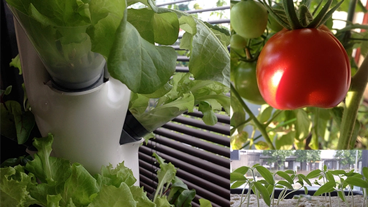 アーバンファーミングのワークショップを東京で行いたい！