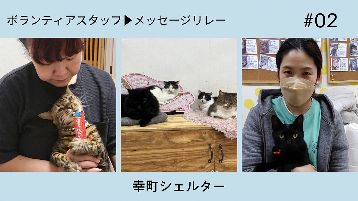 ボランティアスタッフメッセージリレー【幸町シェルターボランティアスタッフ】