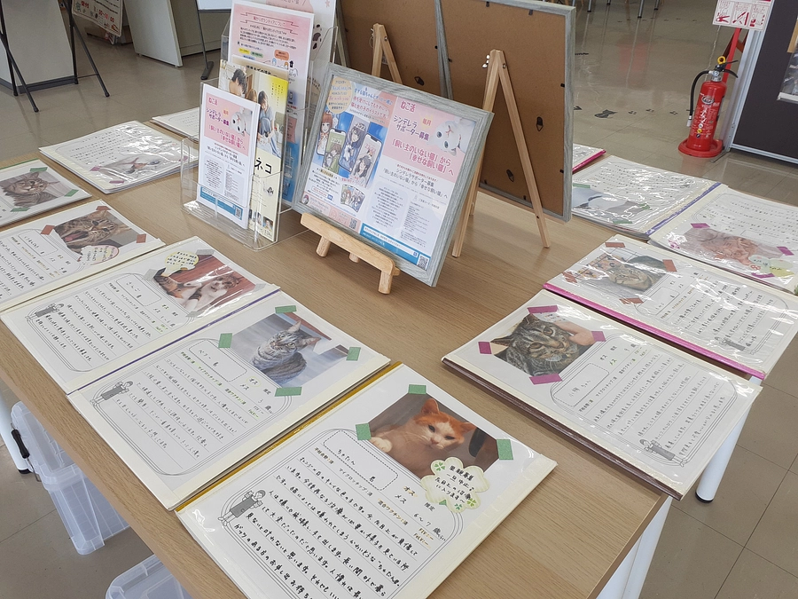 ゆるぷらでのお見合い会のご報告