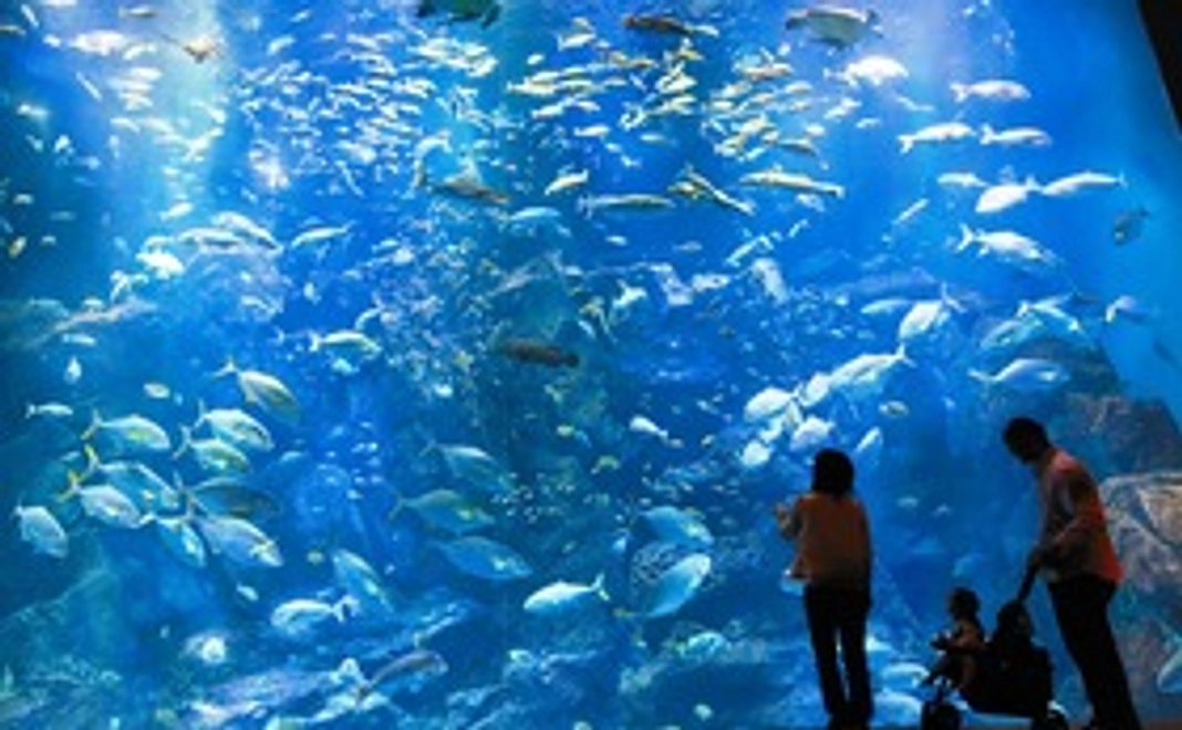 入館券＋ポストカードで応援 5000円コース