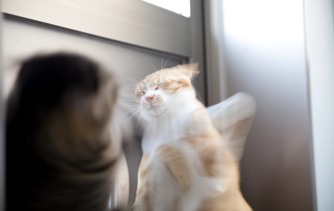 ネクストステージ　ランニングコスト削減に向けて　No.2