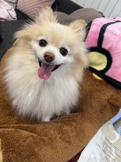 入院費、手術費の振込について