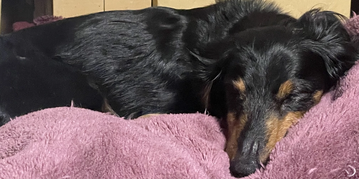 4月25日　骨折でお休みになりました。