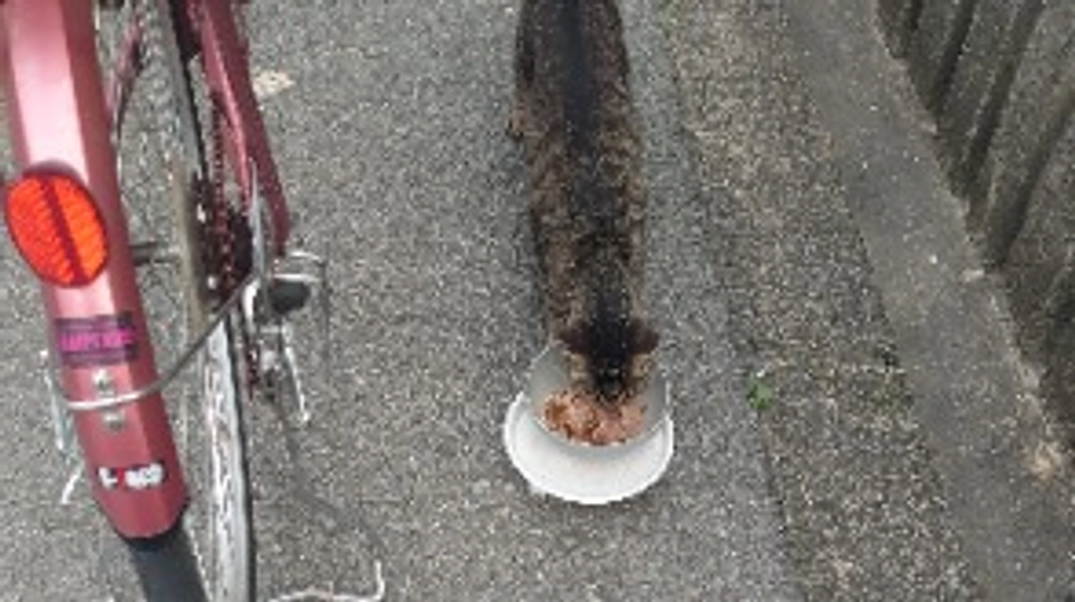 支援金での購入品。