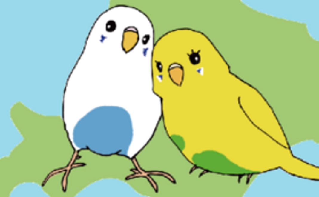 【リターンたくさん♪】限定ファイバークロス&函館グルメセットなど