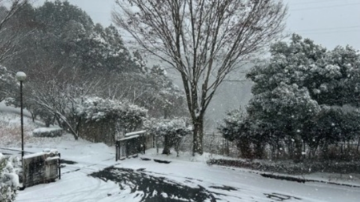 【600万円突破に感謝！】夢のシェルター建設に向けて！プロジェクト立ち上げの経緯〜TNR編〜