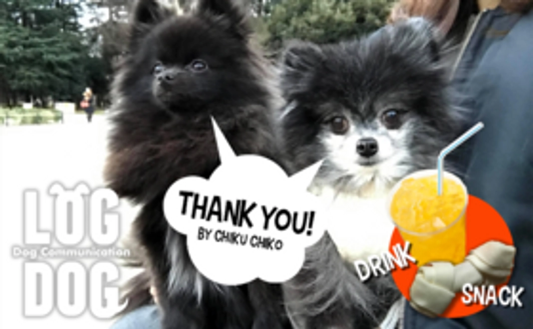 イベントを楽しもう！ワンコのおやつ＋ソフトドリンク１杯