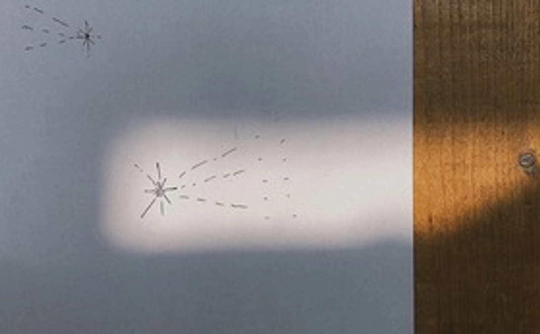 感謝の直筆お手紙とリモートでご挨拶