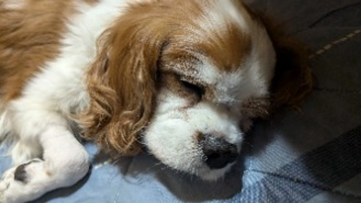 残り24時間となりました！