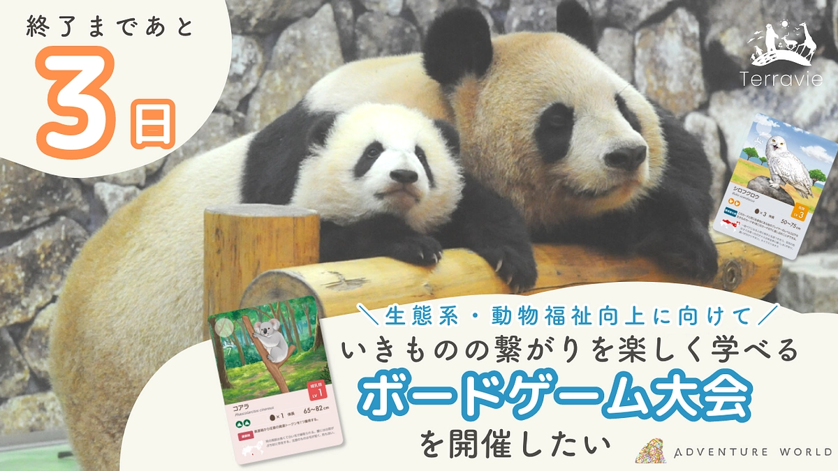 【終了まであと3日】応援コメントのご紹介