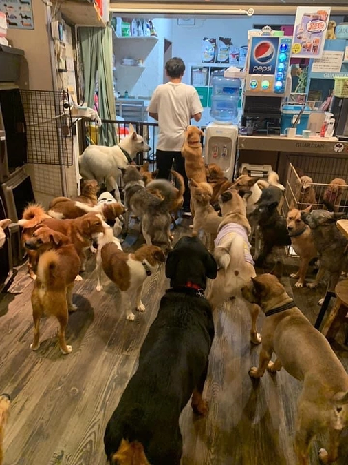 スタッフ上川 勝利からの応援メッセージ