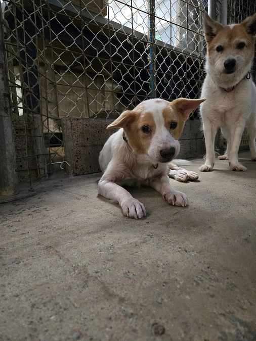シェルター地方にも秋の気配