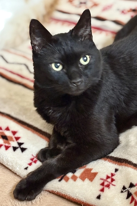 余生をケア部屋で、、の予定だったのですが、