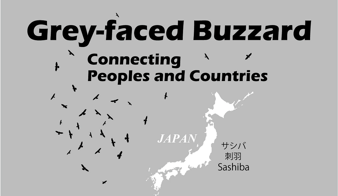 デザインのご紹介