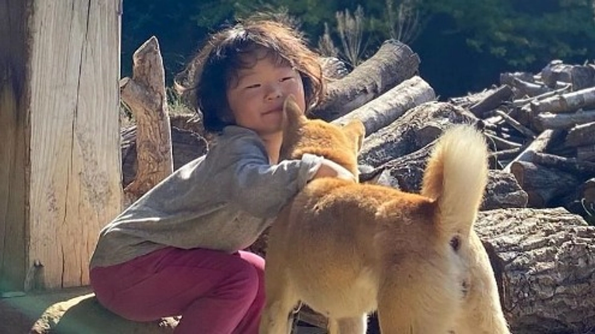 パートナーの縄文柴犬、メンバーを紹介します！