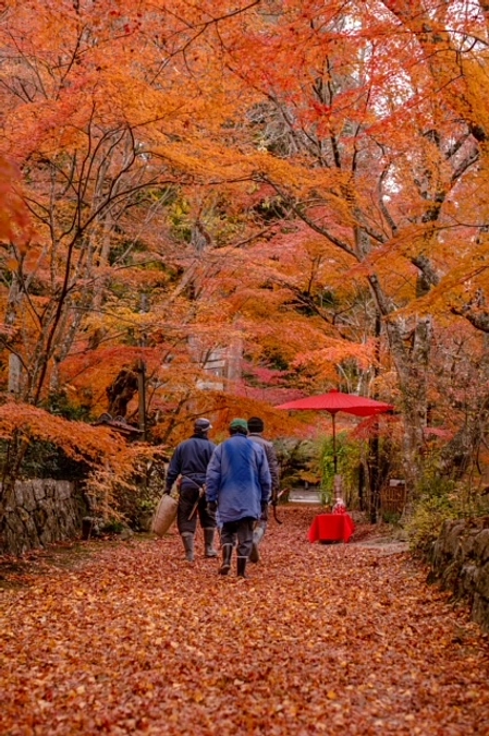 長寿寺らしい一枚