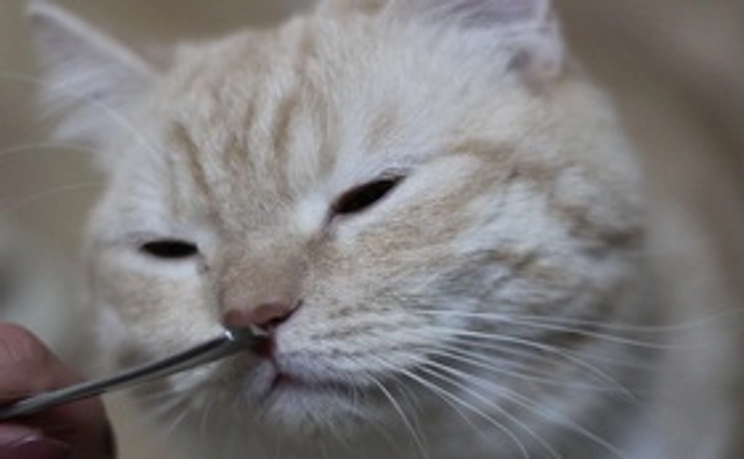 リターン不要500円