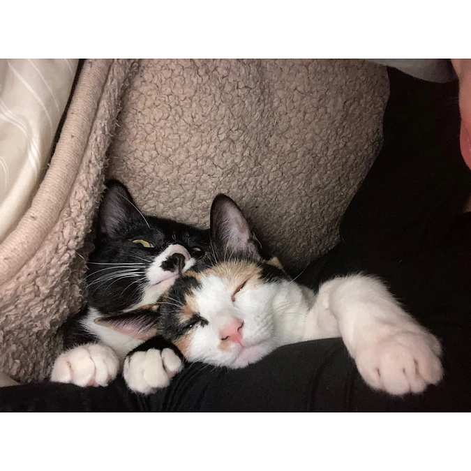 飲み薬開始その4！