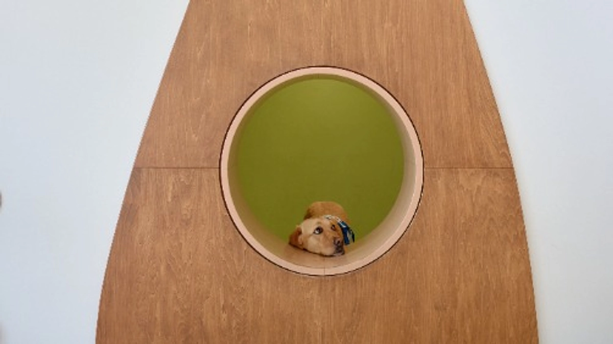 目標額の50％達成しました！ We’ve reached 50%!