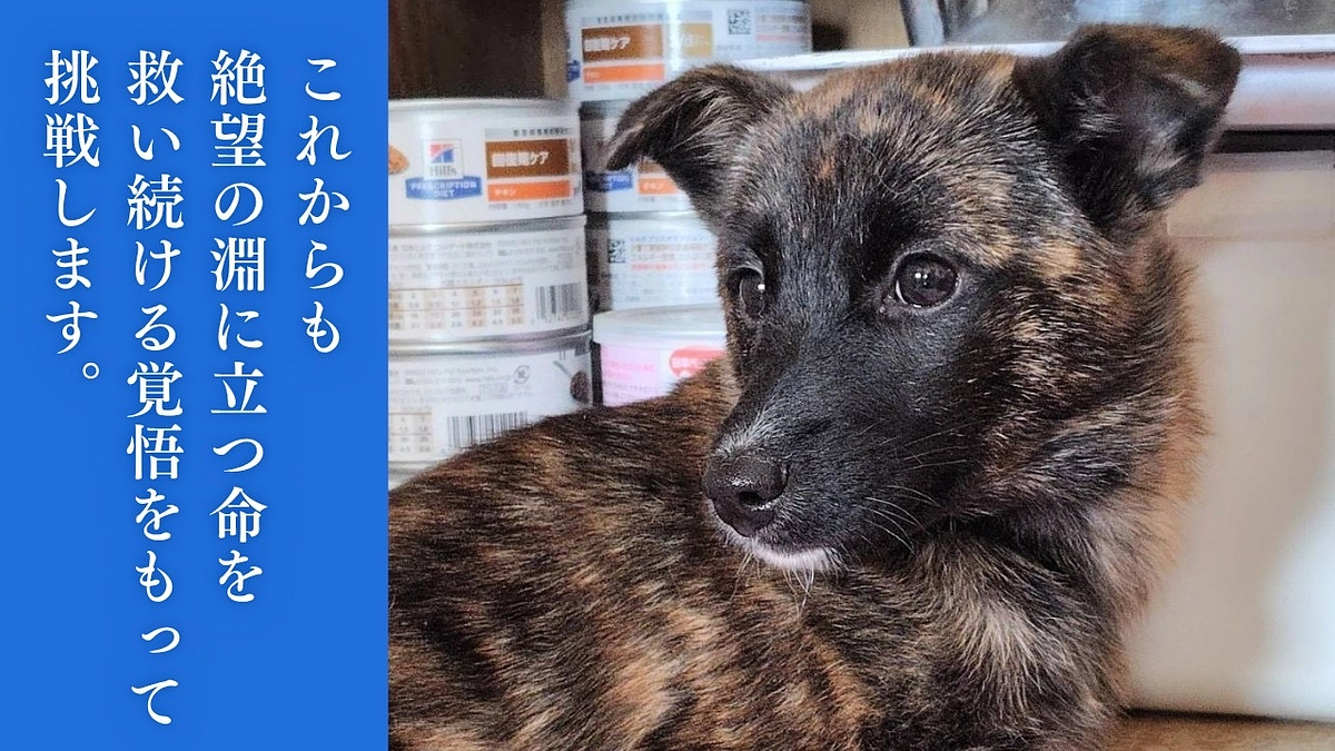 あと少しで25%！みなさまからのご支援、本当にありがたいと感じています。