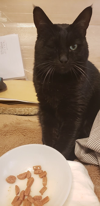 達成率50%残り7日達成できないと一円も貰えないオールナッシングです