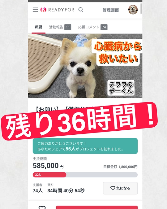 〆切まで残り36時間🆘💦